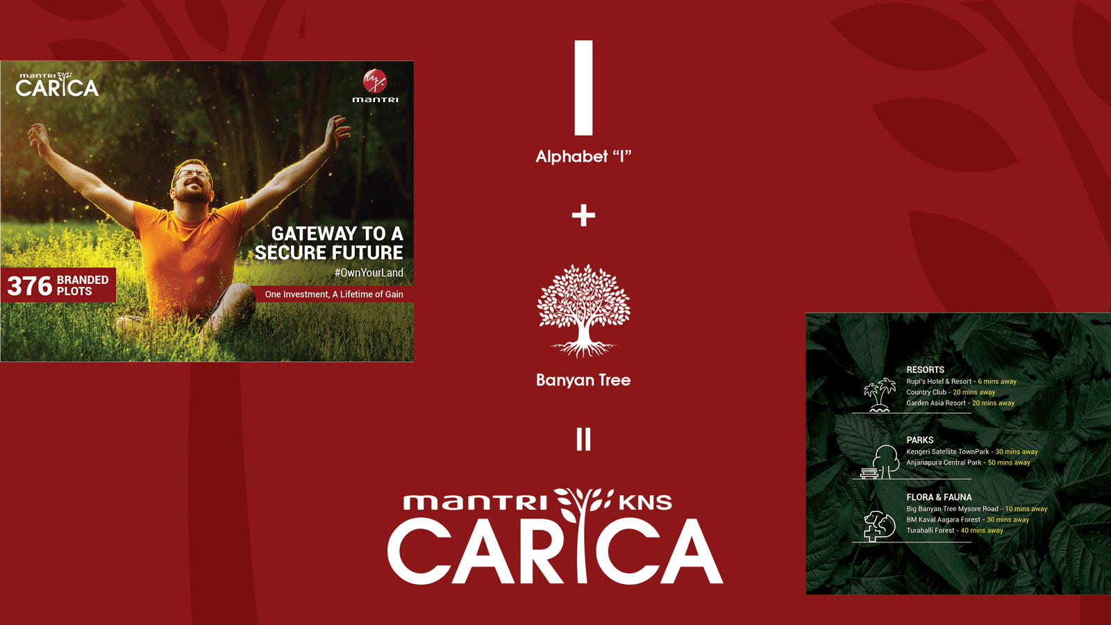 Carica brand identity