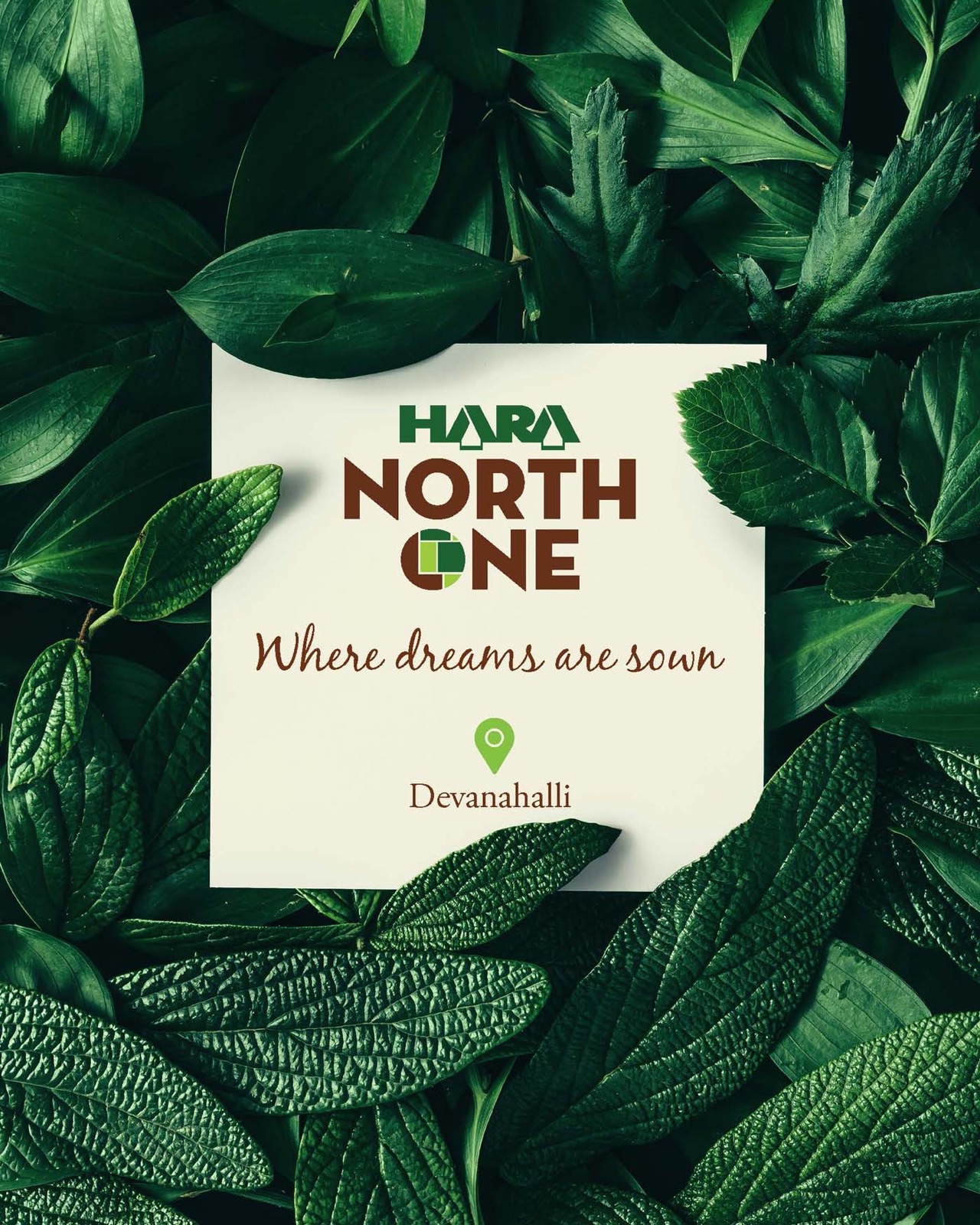 Branding & Identity example