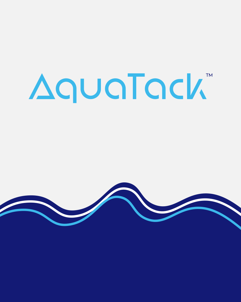 Branding & Identity supporting example