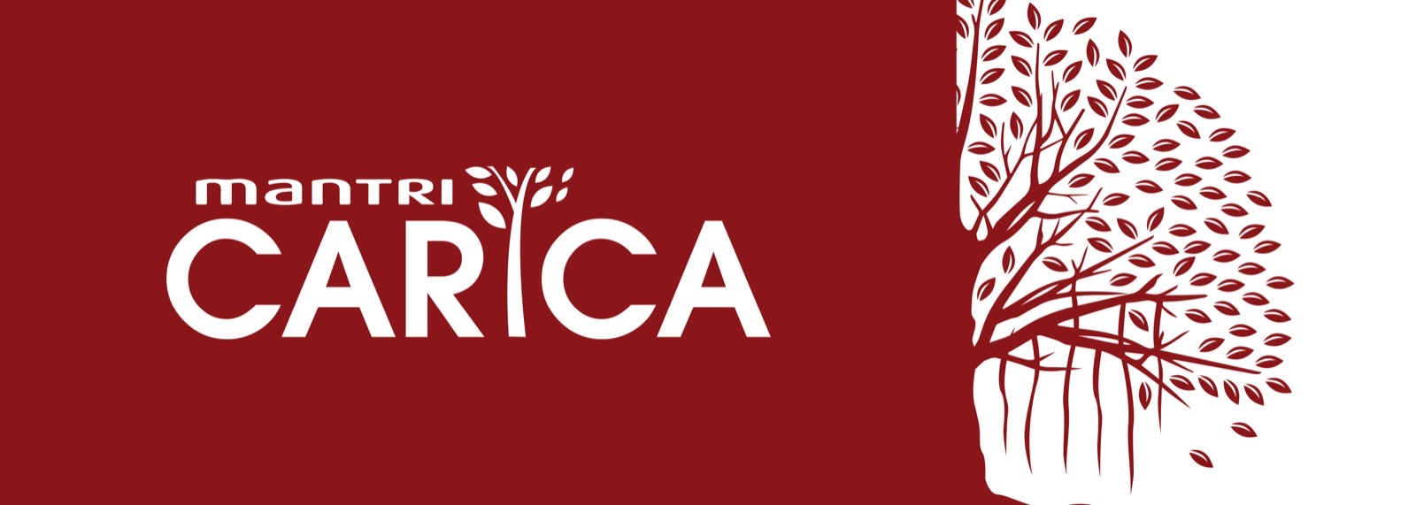 Mantri Carica — brand identity 1