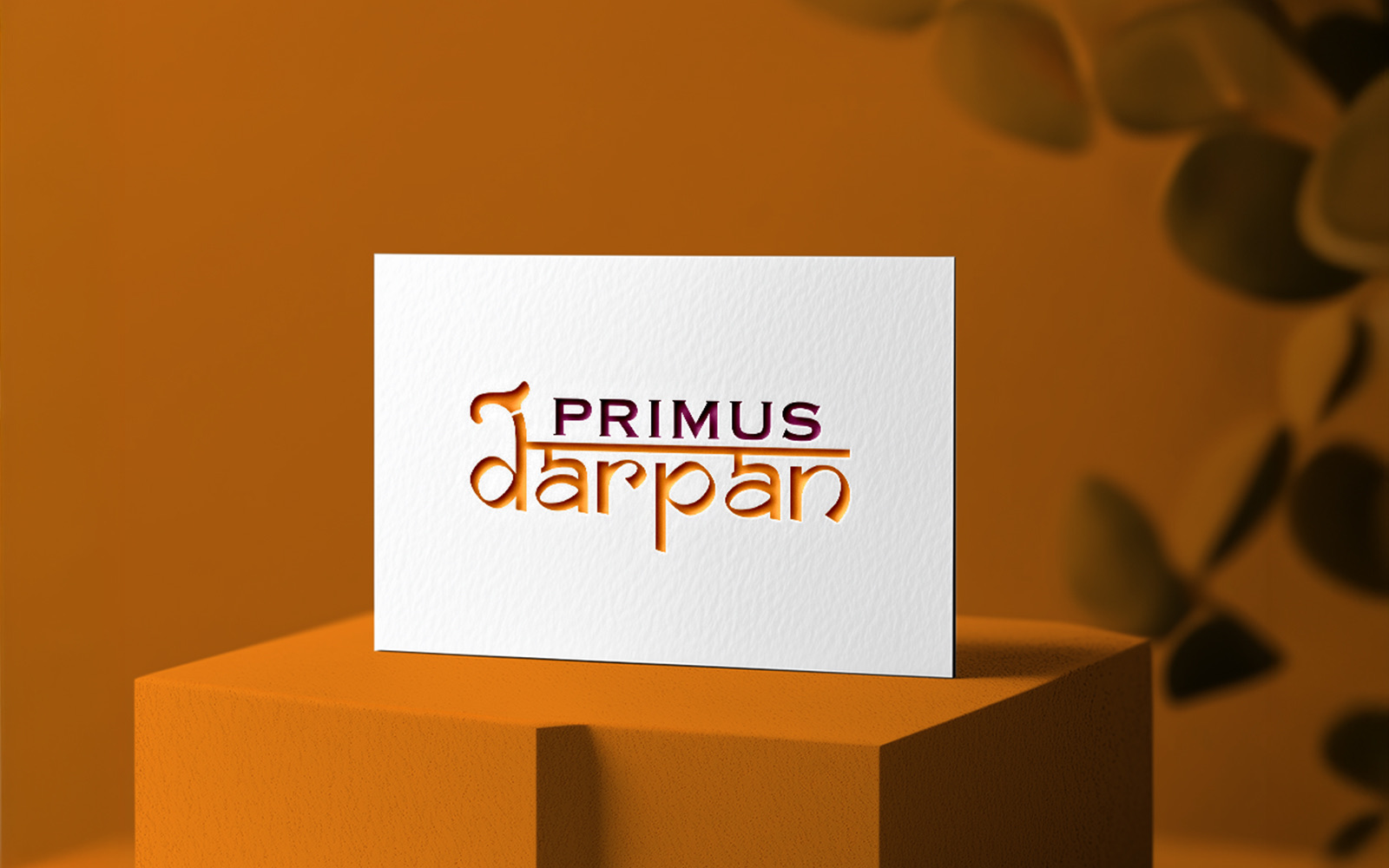 Primus Darpan — brand identity 3